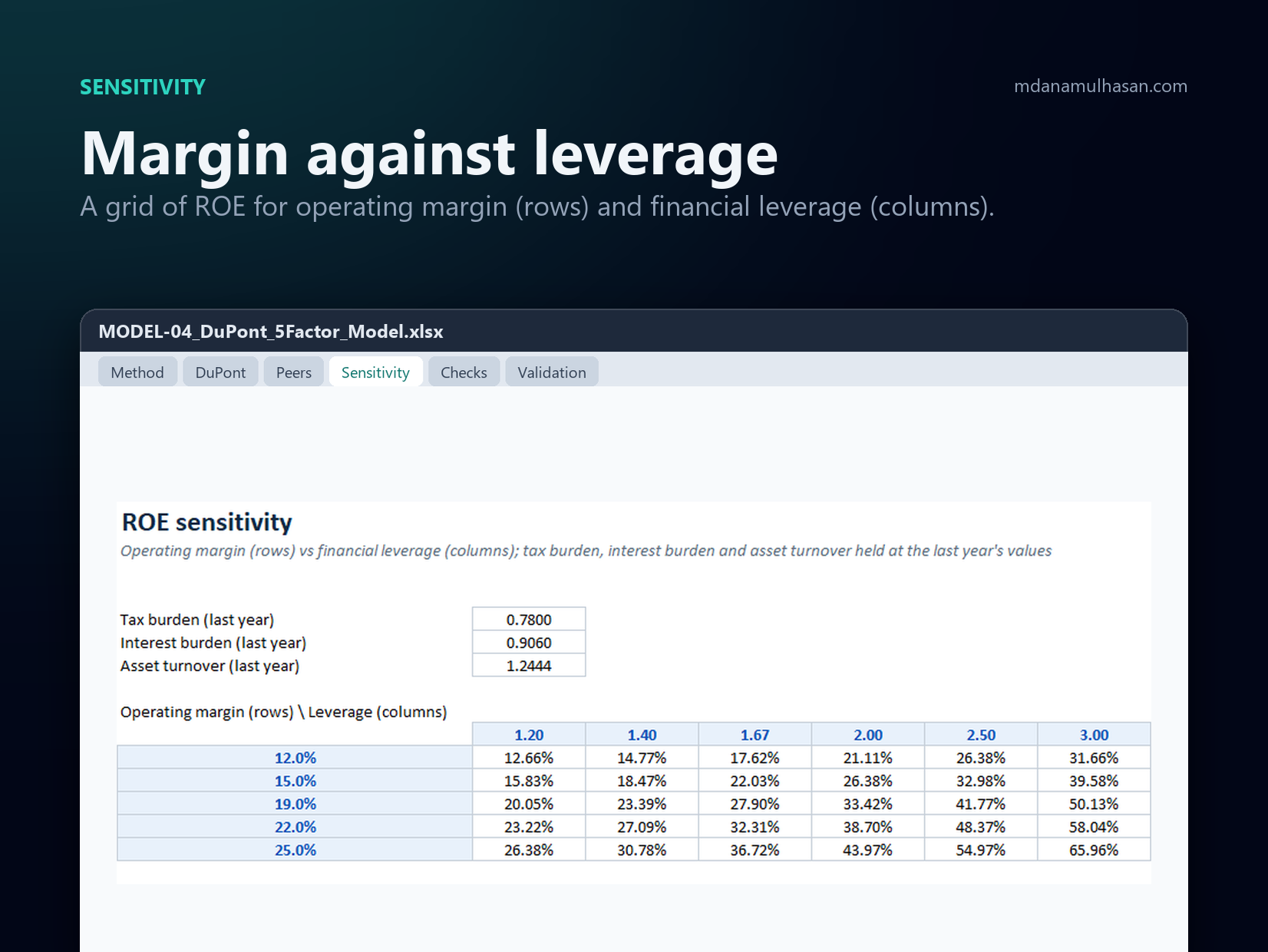 DuPont 5-Factor ROE Decomposition Model: Margin against leverage